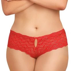 Dreamgirl Heart Stretch Lace Panty Christmas