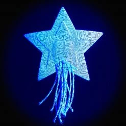 Pastease Christmas Star: Tassel Pasties: Silver Glitter Star With Fringe Nipple Pasties