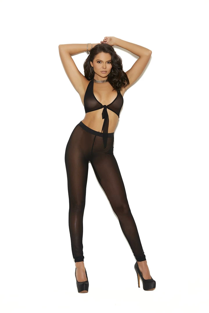 Elegant Moments Mesh Leggings 1 Elegant Moments Mesh Leggings