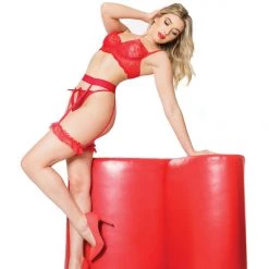 Coquette Scallop Stretch Lace Bra Set Christmas