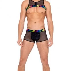 Roma Mens Pride Fishnet Harness