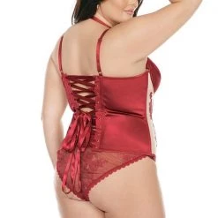 Coquette Christmas Sheer Stretch Nylon & Satin Bustier