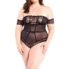 ICollection Lace & Mesh Teddy Lingerie