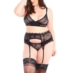 ICollection Lace & Mesh Bra Set