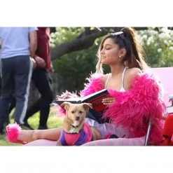 New Fabulicious Poise-501F