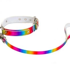 Funk Plus Leash Rainbow Choker