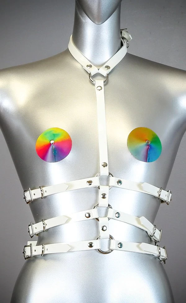 Funk Plus Festival 3 Strap Buckle Harness 1 Funk Plus Festival 3 Strap Buckle Harness