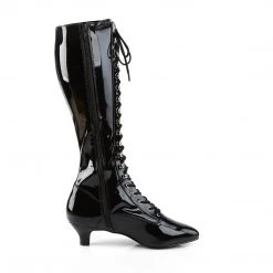 Pleaser Pink Label Fab-2023 Boots New