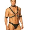 Elegant Moments Fetish Adjustable Harness - 4PC Set