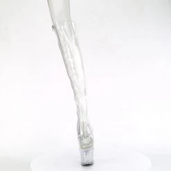 Pleaser Spectator-3019C New